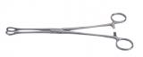 Sponge/Holding Forceps