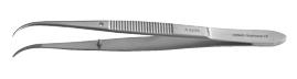 Perry Dental Forceps