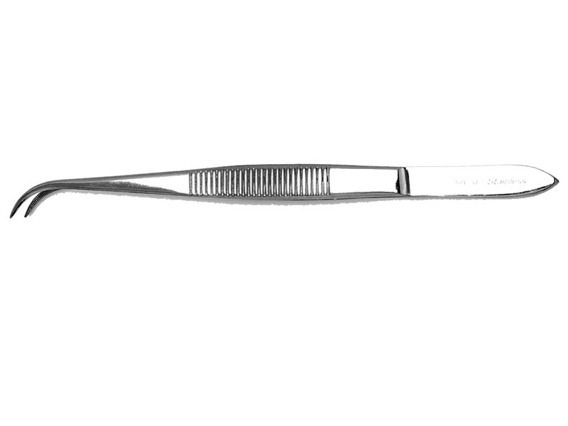 dissecting_forceps_blockend_curved.jpg