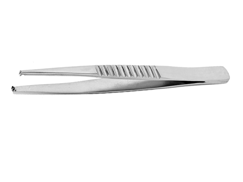 tissue_forceps_treves2x3.jpg